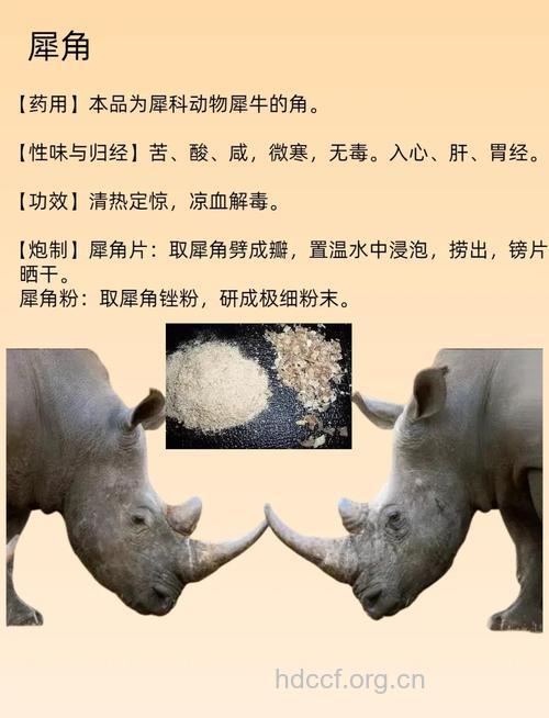 犀肉的功效与作用