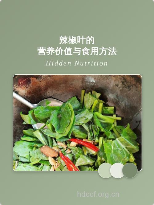 辣椒叶的功效与作用