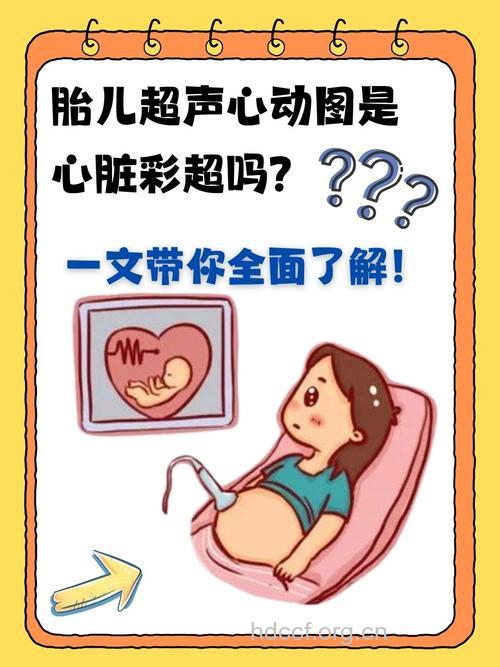 超声波检查可以预测胎儿健康