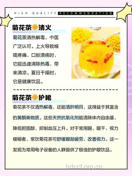 菊花茶功效多 但这7类人千万不要喝