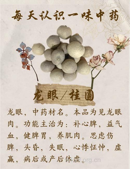 山龙眼的功效与作用