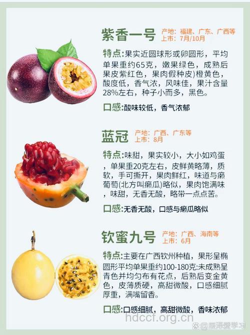 什么是百香果?百香果有什么功效