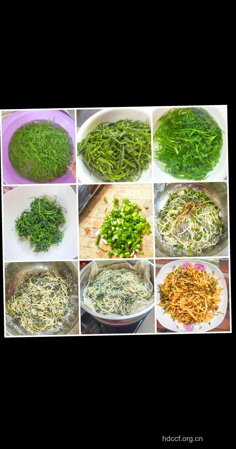 扫帚菜的吃法 推荐3种扫帚菜做法