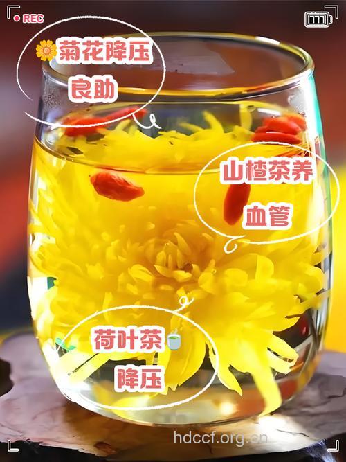 解惑：喝柿菊降压茶真的能降压吗