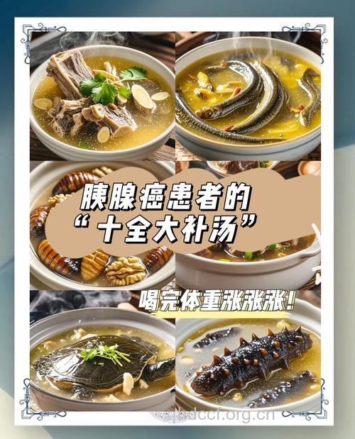 胰腺癌晚期患者可以吃的药膳