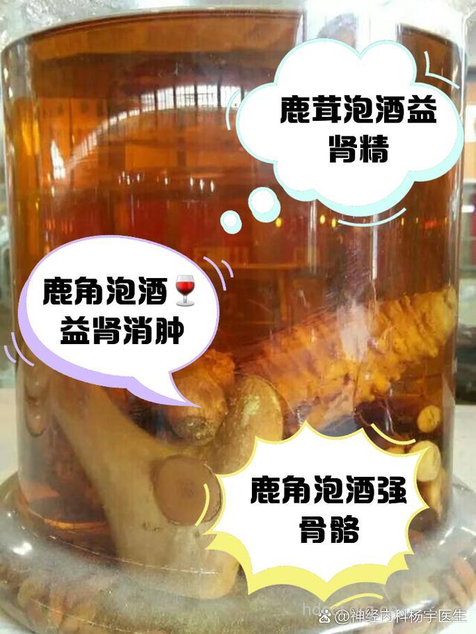 鹿角泡酒喝的禁忌