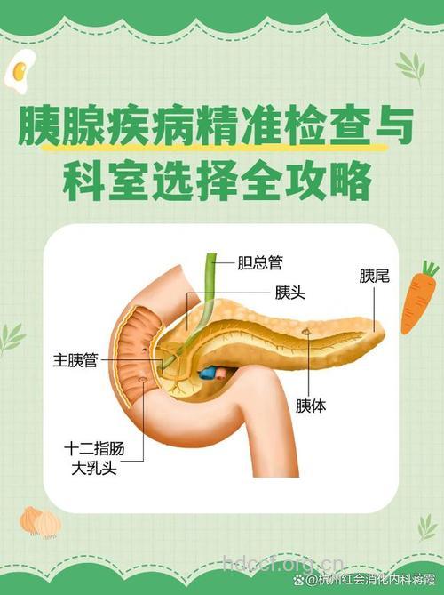 胰腺癌怎么进行检查