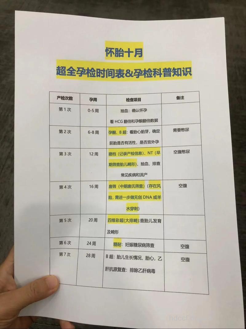 十月怀胎的科学安排孕检