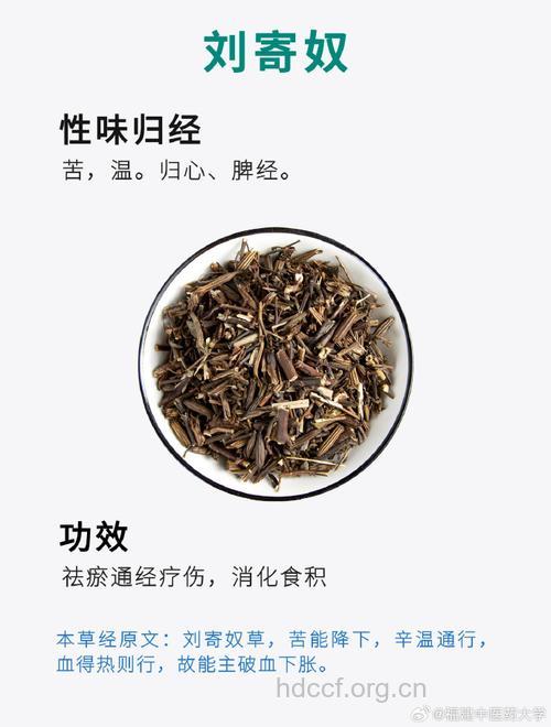 奇蒿的功效与作用