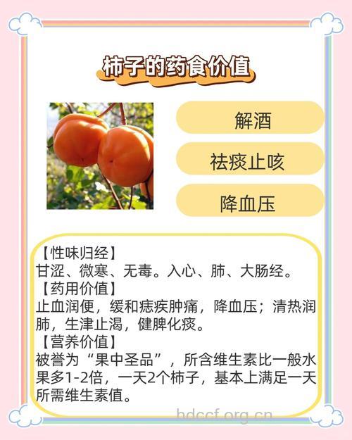 注意！柿子不宜与这些食物一起服用