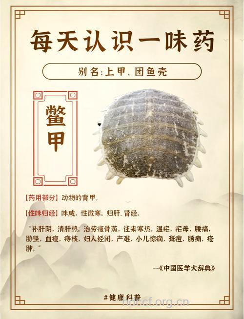 鳖甲泡酒喝的功效
