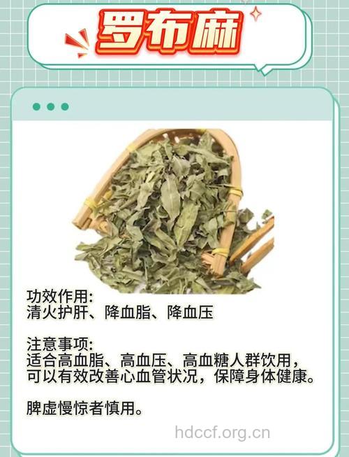 盘点:罗布麻降压茶的8大作用
