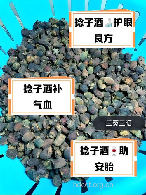 斑蝥泡酒喝的禁忌