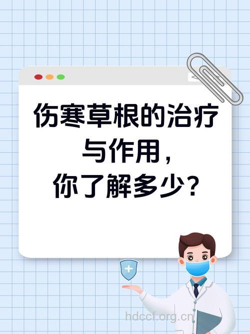 伤寒草根的功效与作用