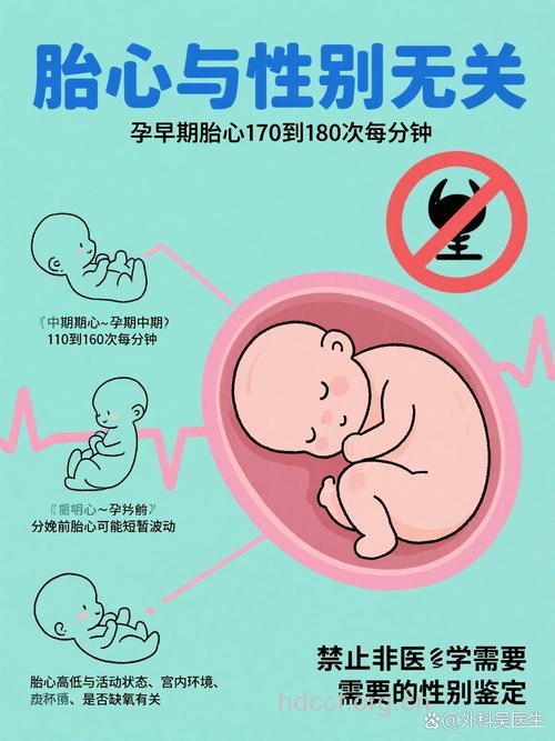 胎儿健康来自你的关注