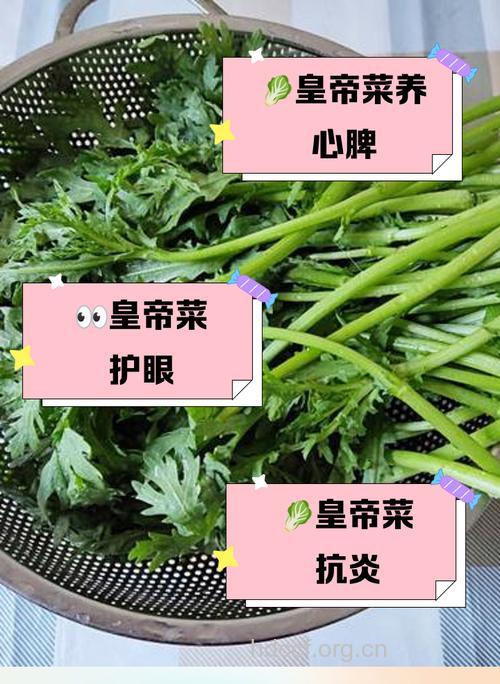 皇帝菜怎么做 推荐3种皇帝菜做法
