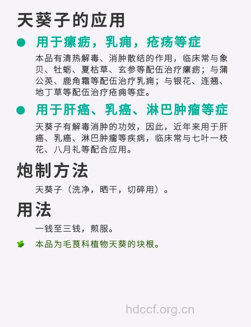 天葵子的功效与作用