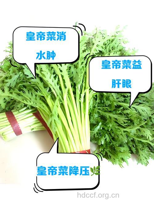 皇帝菜又叫什么菜 99%人都不知道