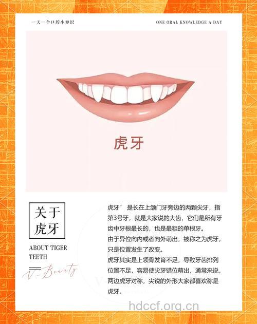 虎牙的功效与作用