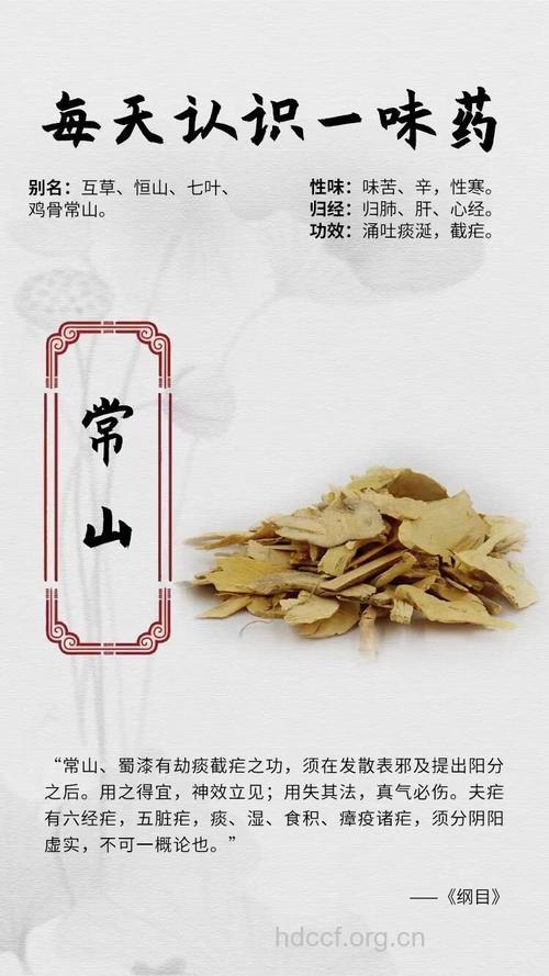 鸡骨常山的功效与作用