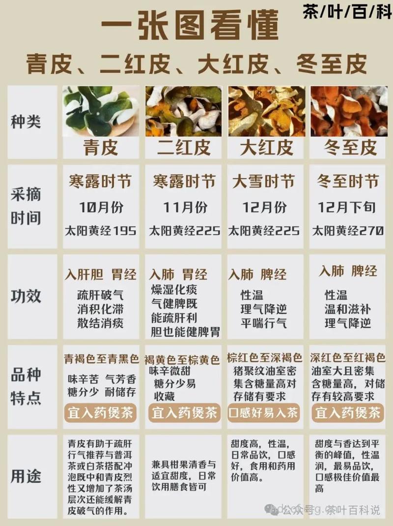 如何挑选陈皮 中医教你4个方法