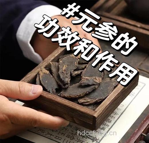 元参的功效与作用