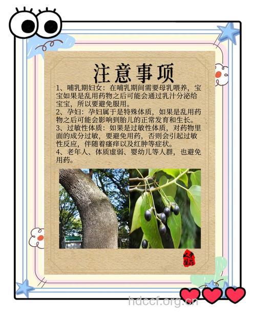 樟脑的功效与作用