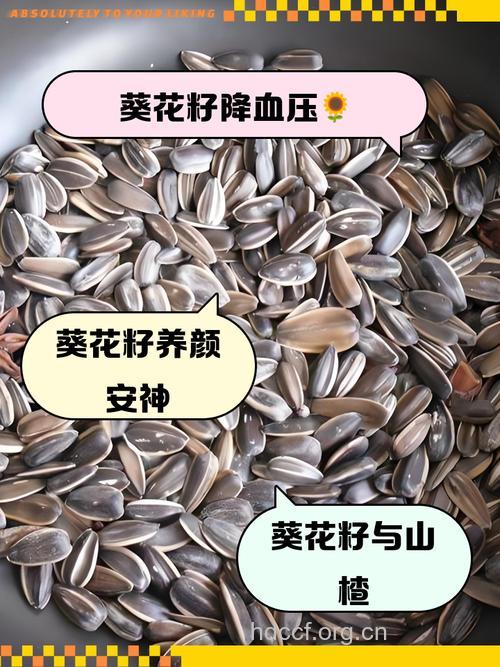 护肝小心吃葵花子