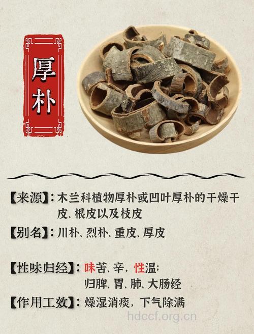 厚朴的功效与作用