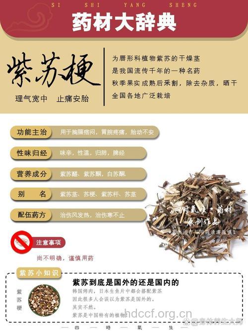 紫苏梗的功效与作用