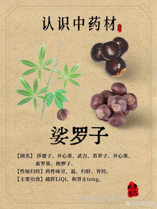 娑罗子的功效与作用