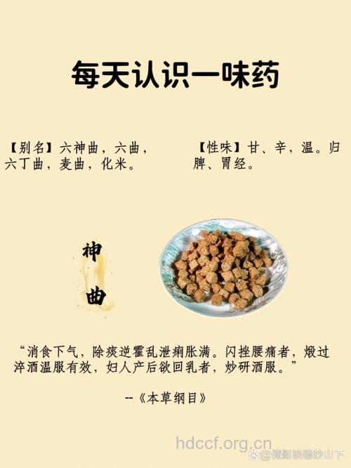 神曲的功效与作用