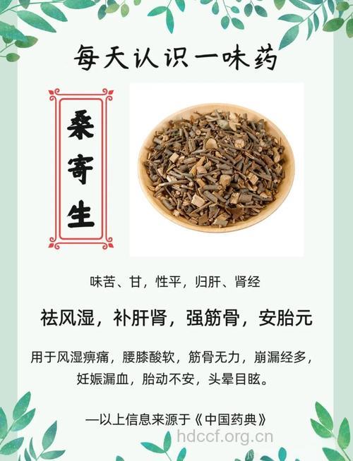桑寄生的功效与作用