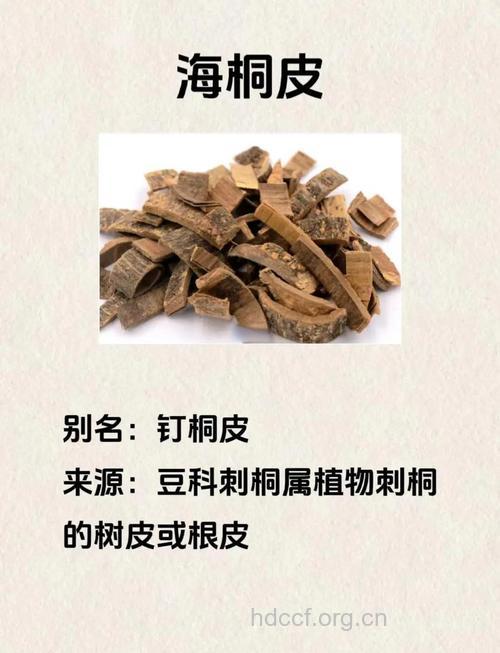 浙桐皮的功效与作用
