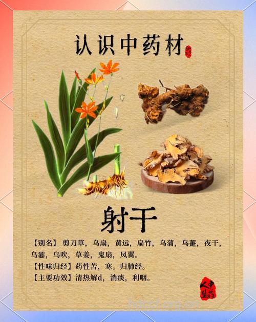 射干的功效与作用