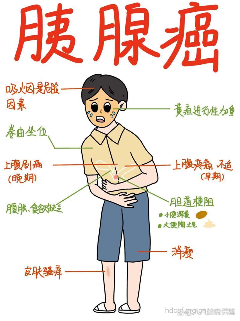 不同部位胰腺癌的症状是什么