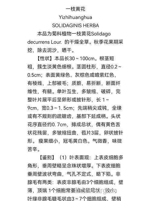 一支黄花的功效与作用