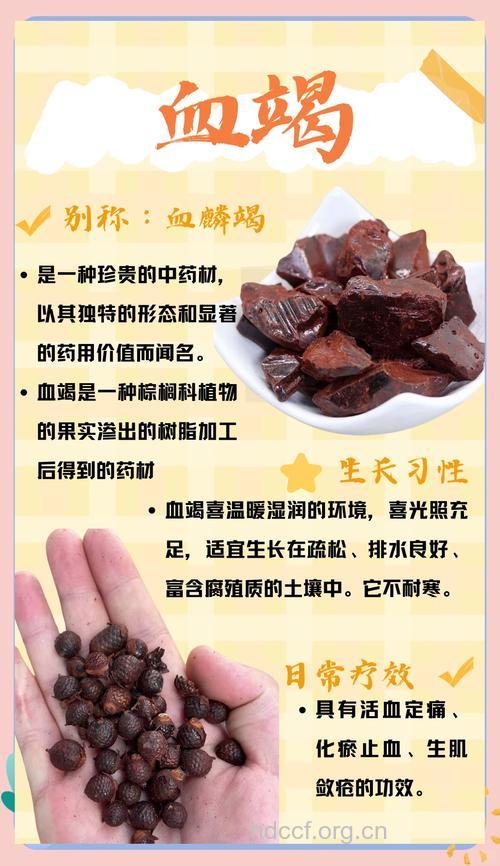 血竭的功效与作用