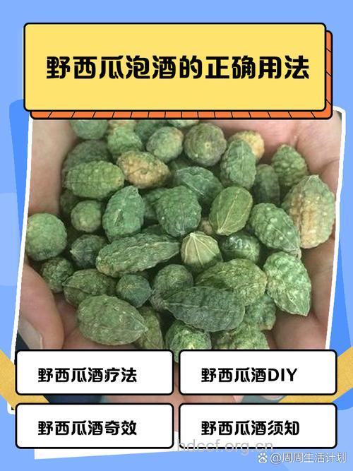 西瓜皮泡酒喝的功效