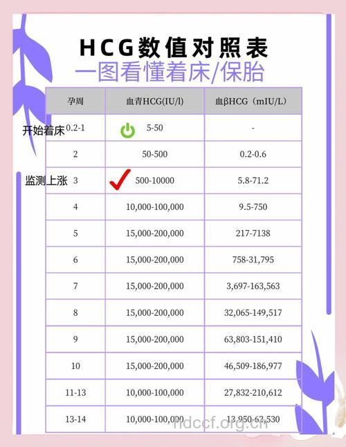 HCG检查的意义是什么？