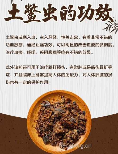 土鳖虫的功效与作用