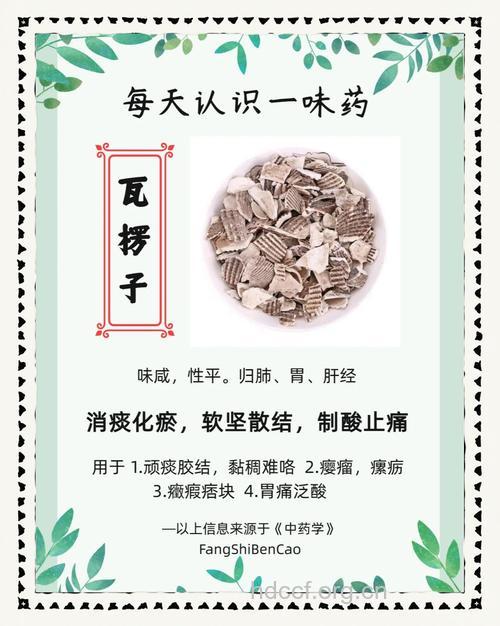 瓦楞子的功效与作用