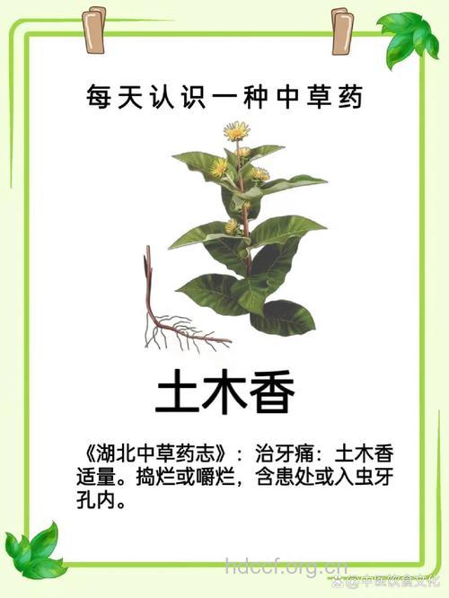 土木香的功效与作用