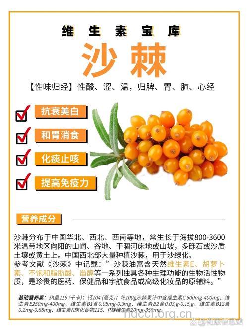 沙棘的功效与作用