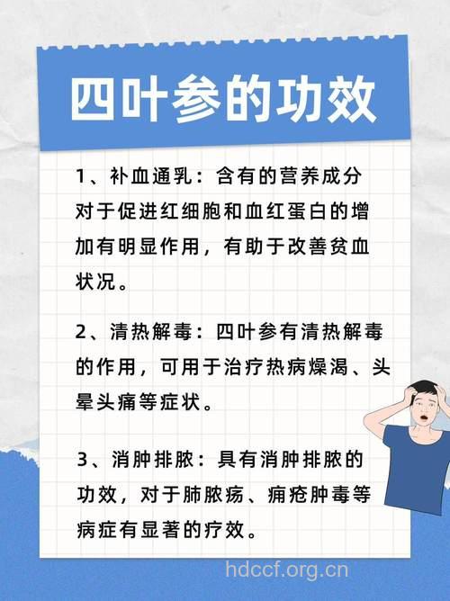 四叶参的功效与作用
