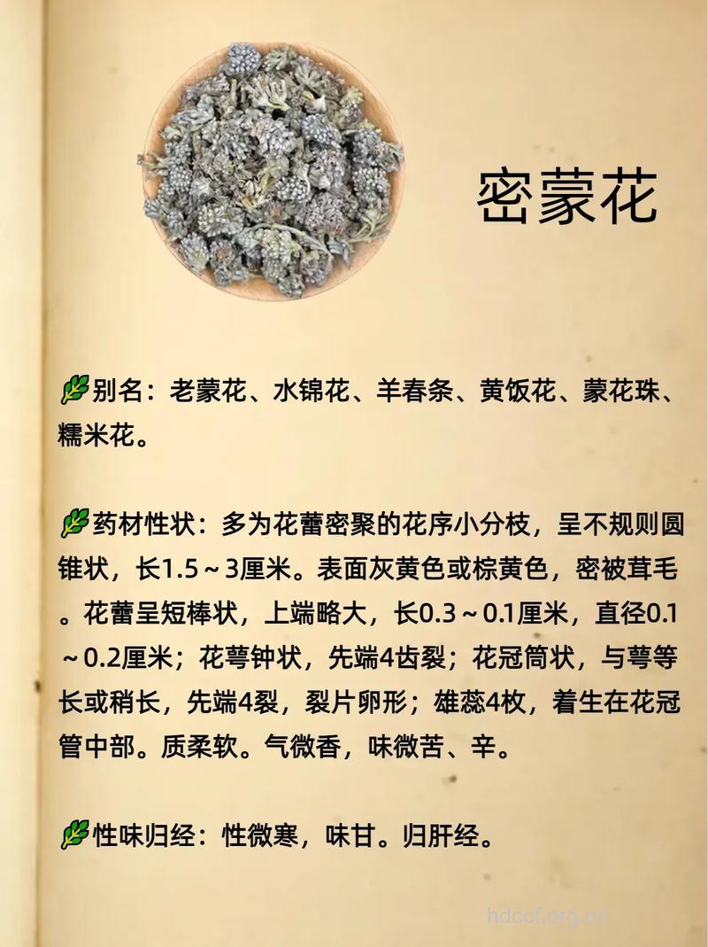 密蒙花的功效与作用
