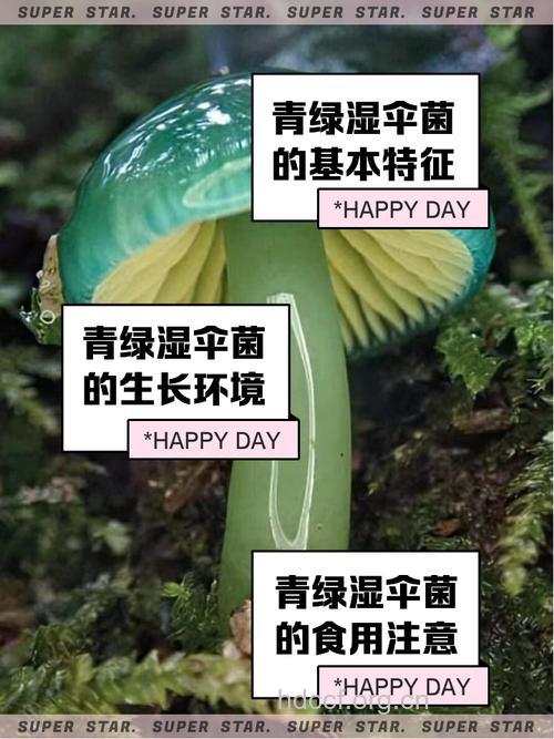 菌藻类有益肝病患者吗