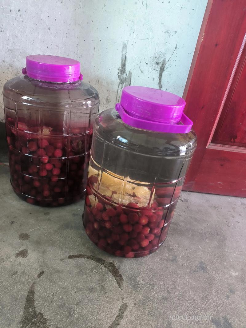 杨梅酒泡7天能喝吗 杨梅酒要泡多久