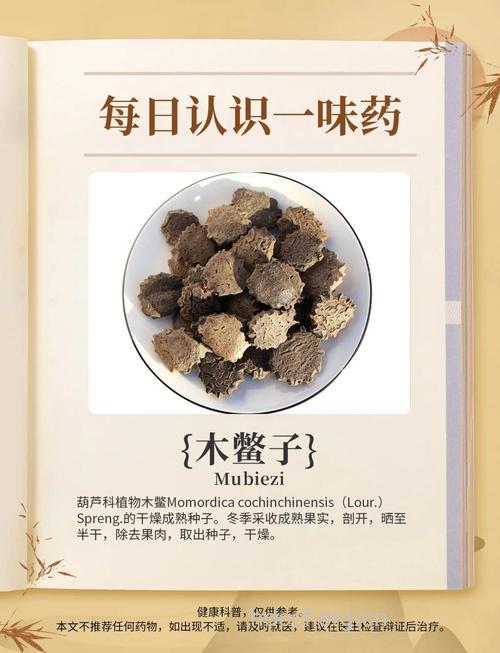 木鳖子的功效与作用