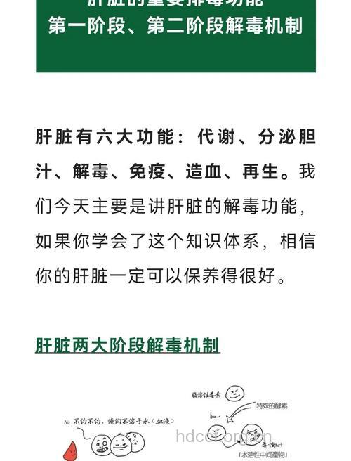 高蛋白对肝病的作用